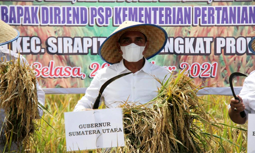 panenraya2