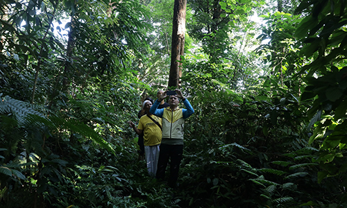 bukitlawang2